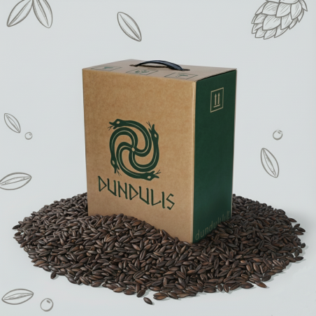 Dark  Beer Set  in Branded Box of 6 0.5l